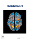 BRAIN RESEARCH雜志封面